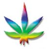 cannabis101[1].jpg